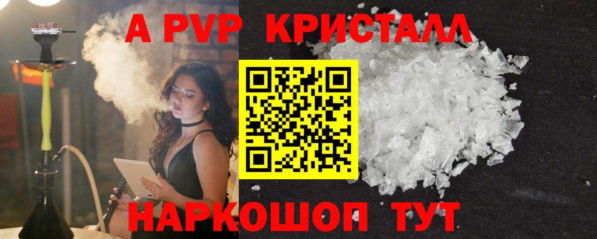 Alfa_PVP СК Дубна