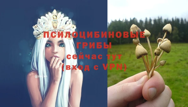 ALPHA PVP Майский