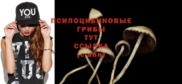 мдпв Магадан