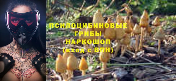 гашиш Магас