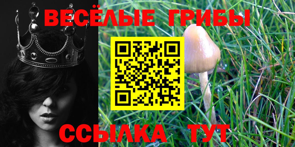 Галлюциногенные грибы Psilocybine cubensis Дубна