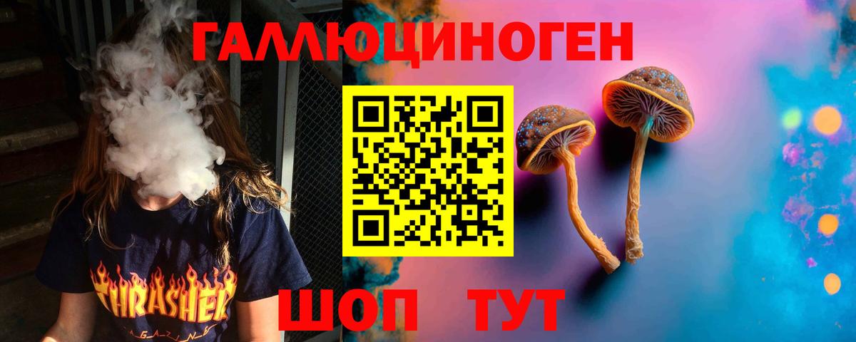 Галлюциногенные грибы Psilocybe Дубна
