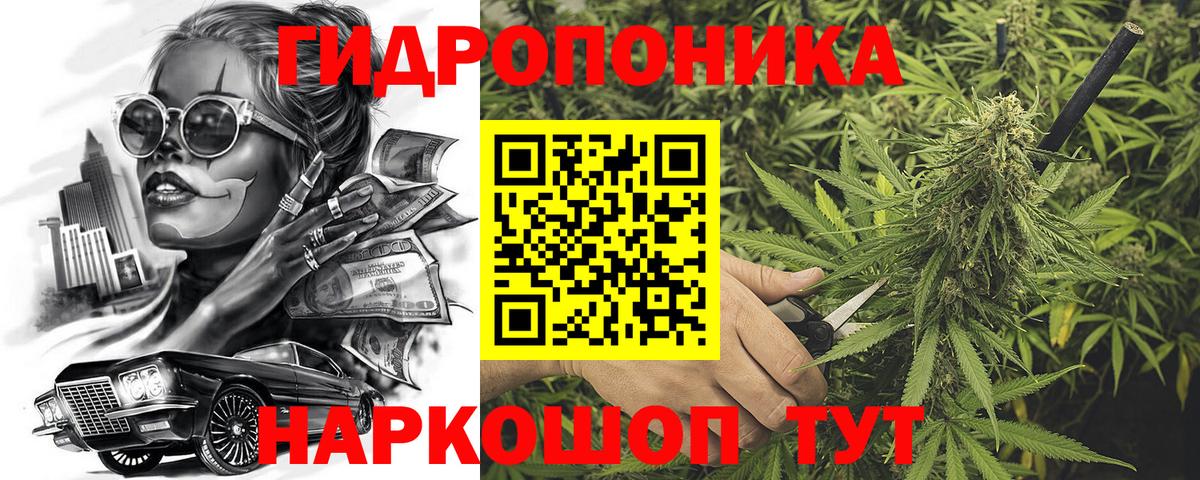 Каннабис OG Kush  Дубна  Каннабис ГИДРОПОН  Конопля SATIVA & INDICA 